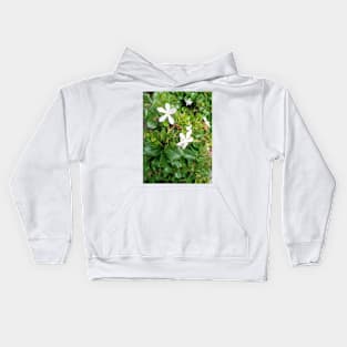 White flowers green leaves, aesthetic minimalist plant photography Kids Hoodie